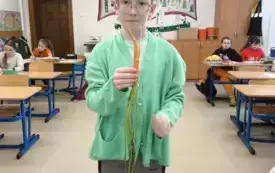 Dzień Marchewki w klasie 3a 13