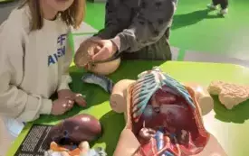 QayklHWY