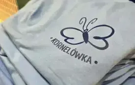 559733500_1460729569391060_4089013668160290135_n