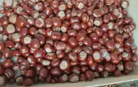 570362884_1470096578454359_5369538722948480089_n